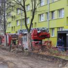 zdjęcie nr 11