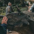   Autor: Alina Metelytsia/Ogród botaniczny UWr