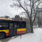 zdjęcie nr 10