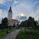 zdjęcie nr 9