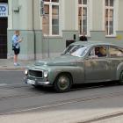 Fotka nr 4 z 17