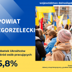 zdjęcie nr 10
