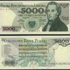 zdjęcie nr 23
