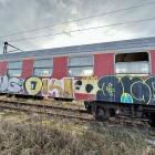 zdjęcie nr 20