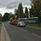 Fotka nr 1 z 10