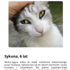 zdjęcie nr 16