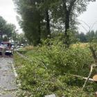   Autor: Komenda Wojewódzka Państwowej Straży Pożarnej we Wrocławiu