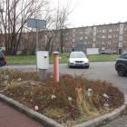   Autor: Straż Miejska Wrocław