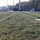 Nowe zielone torowisko we Wrocławiu  Autor: Wrocławskie Inwestycje