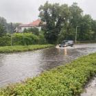 zdjęcie nr 4