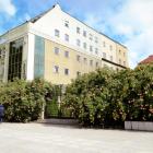 zdjęcie nr 9