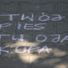 zdjęcie nr 20
