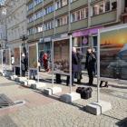 Wystawa na ul. Świdnickiej we Wrocławiu  Autor: mgo