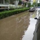 zdjęcie nr 18