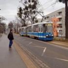zdjęcie nr 10