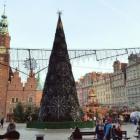 Rozbłysła choinka na wrocławskim Rynku  Autor: Damian Filipowski