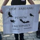   Autor: Askaniusz Polcyn