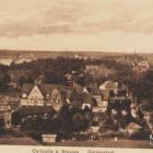 zdjęcie nr 42