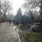 zdjęcie nr 19