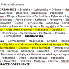 zdjęcie nr 10