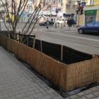   Autor: Wojciech Kulig