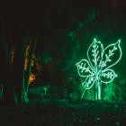Światłogród - Ogród Botaniczny, Wrocław  Autor: Ivan Prinus