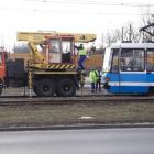 zdjęcie nr 6