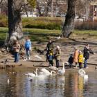 zdjęcie nr 15