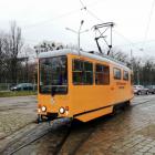 Fotka nr 2 z 8