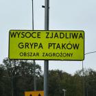   Autor: Jakub Jurek