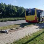 zdjęcie nr 10