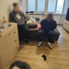 Fotka nr 5 z 6