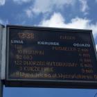 zdjęcie nr 12