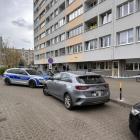 zdjęcie nr 8