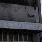 zdjęcie nr 8