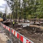 Wrocław na kolanach do deweloperów - radni krytykują ratusz po rzezi drzew  Autor:...