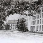 Podczas aukcji licytowane będą prace studentów Wydziału Architektury PWr  Autor: mat....