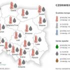 zdjęcie nr 9
