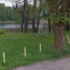  Park przy ul. Jeziorowej:  na terenie zielonym koło stawu na Pawłowicach jest jeden...