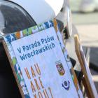 zdjęcie nr 14
