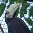   Autor: Materiały wrocławskiego zoo