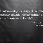 zdjęcie nr 23