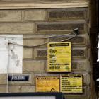 Fotka nr 4 z 11