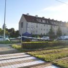 zdjęcie nr 15