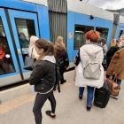 Po oddaniu tramwaju na Popowice ludzie nie mieszczą się w linii 31  Autor: Jakub Jurek