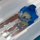   Autor: Uniwersytecki Szpital Kliniczny