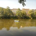 zdjęcie nr 5