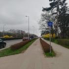 Fotka nr 4 z 14