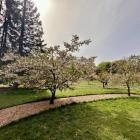 zdjęcie nr 14