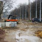 zdjęcie nr 15